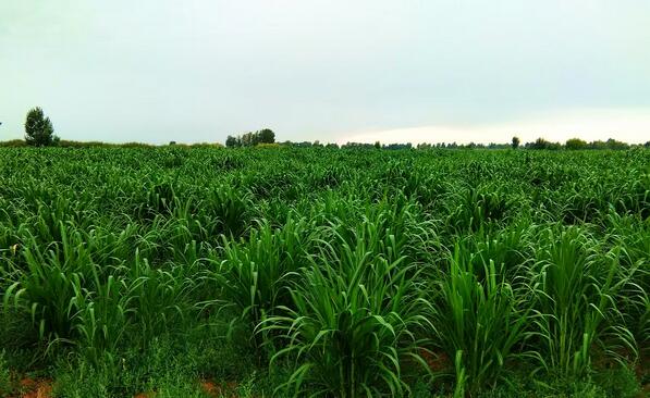 JDB����(�й���)���ٷ���վ