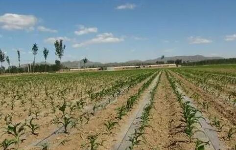 JDB����(�й���)���ٷ���վ