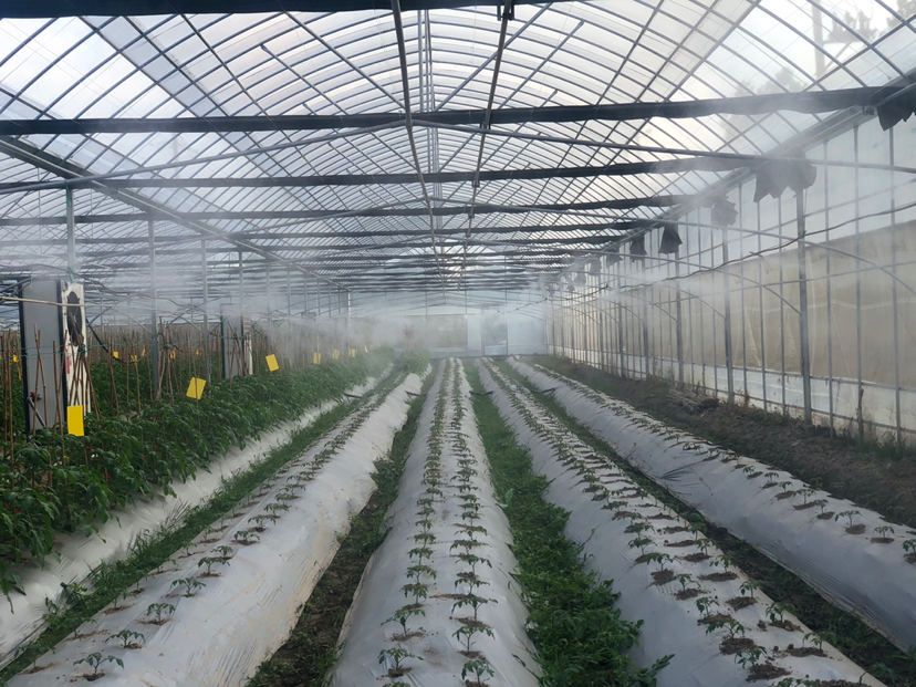 JDB����(�й���)���ٷ���վ