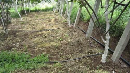 JDB����(�й���)���ٷ���վ