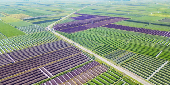 JDB����(�й���)���ٷ���վ