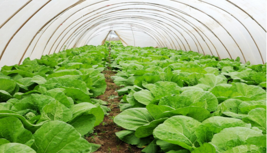 JDB����(�й���)���ٷ���վ