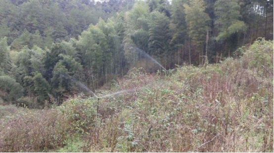 JDB����(�й���)���ٷ���վ