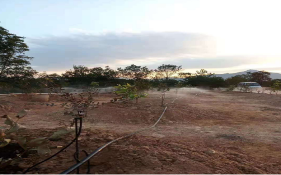 JDB����(�й���)���ٷ���վ