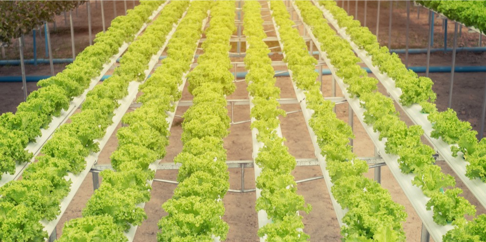 JDB����(�й���)���ٷ���վ