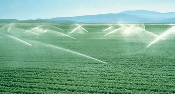 JDB����(�й���)���ٷ���վ