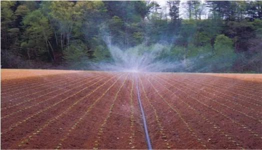 JDB����(�й���)���ٷ���վ