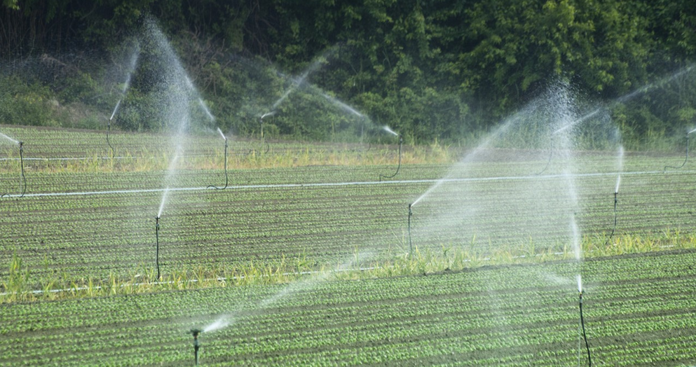 JDB����(�й���)���ٷ���վ