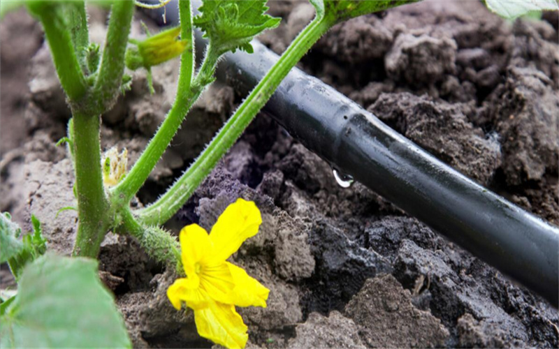 JDB����(�й���)���ٷ���վ