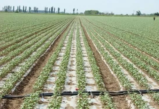 JDB����(�й���)���ٷ���վ