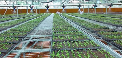 JDB����(�й���)���ٷ���վ