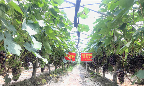 JDB����(�й���)���ٷ���վ