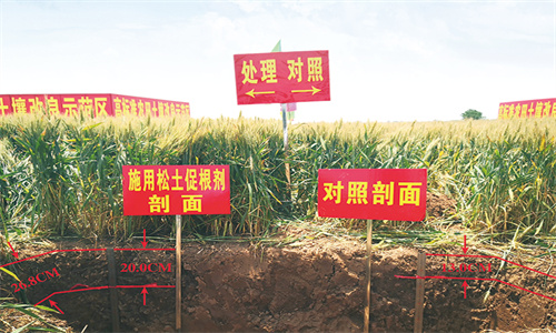 JDB����(�й���)���ٷ���վ