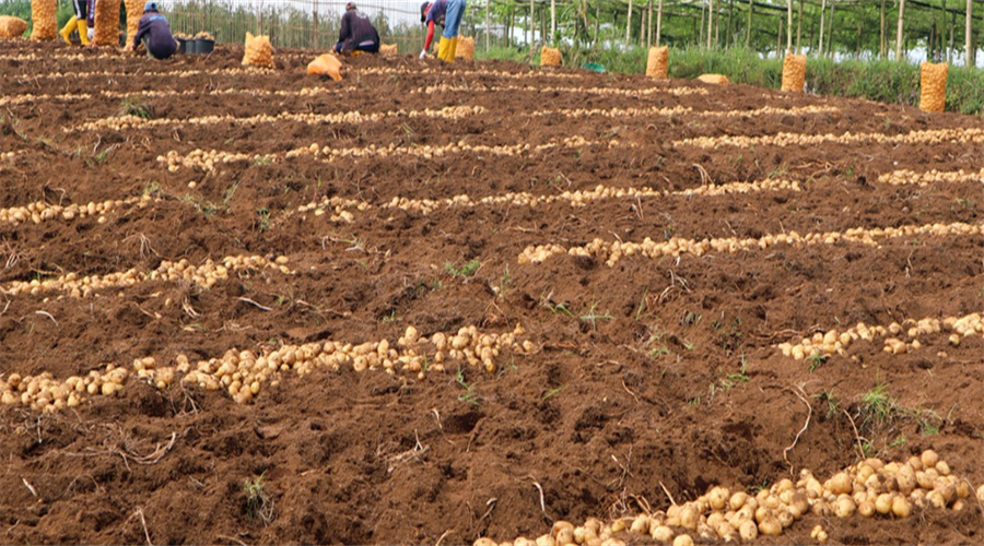 JDB����(�й���)���ٷ���վ