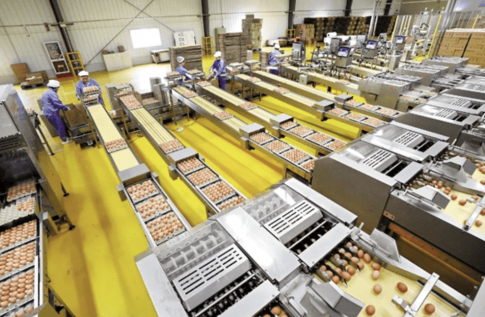 JDB����(�й���)���ٷ���վ