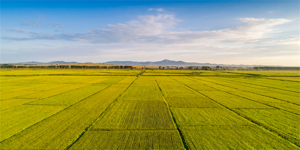 JDB����(�й���)���ٷ���վ