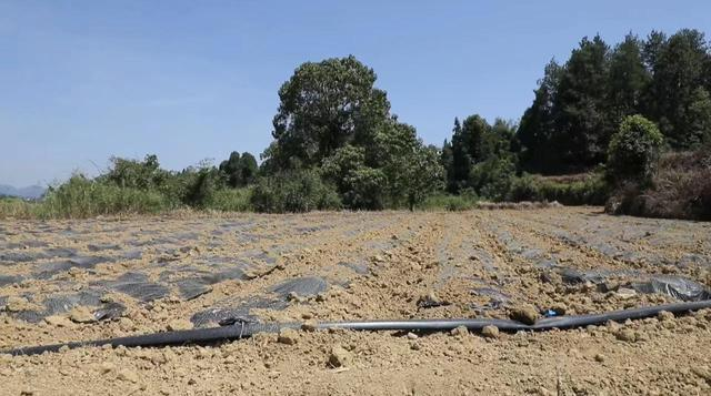 JDB����(�й���)���ٷ���վ