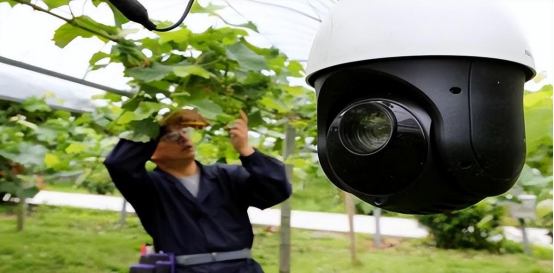 JDBµç×Ó(ÖйúÇø)¡¤¹Ù·½ÍøÕ¾