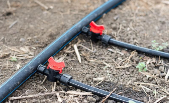 JDBµç×Ó(ÖйúÇø)¡¤¹Ù·½ÍøÕ¾