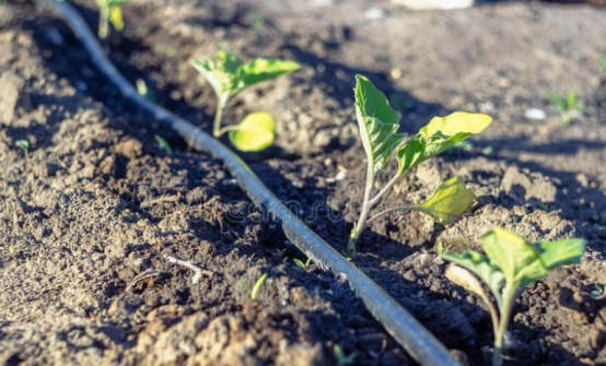 JDB����(�й���)���ٷ���վ