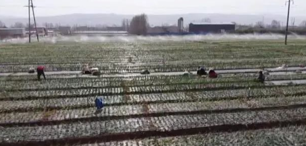 JDB����(�й���)���ٷ���վ