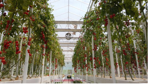 JDB����(�й���)���ٷ���վ