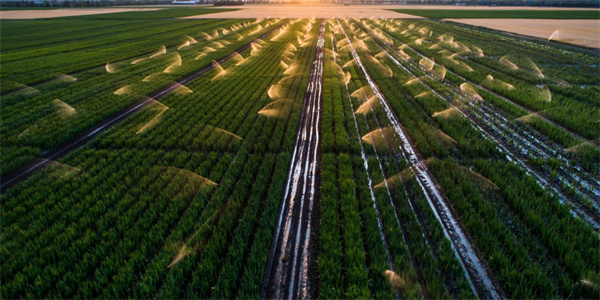 JDB����(�й���)���ٷ���վ