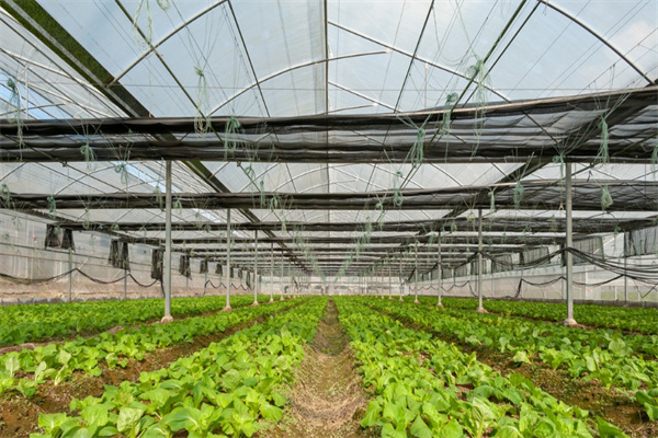 JDB����(�й���)���ٷ���վ