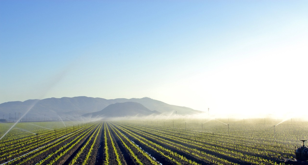 JDB����(�й���)���ٷ���վ