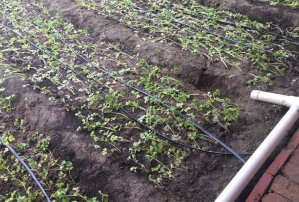 JDB����(�й���)���ٷ���վ