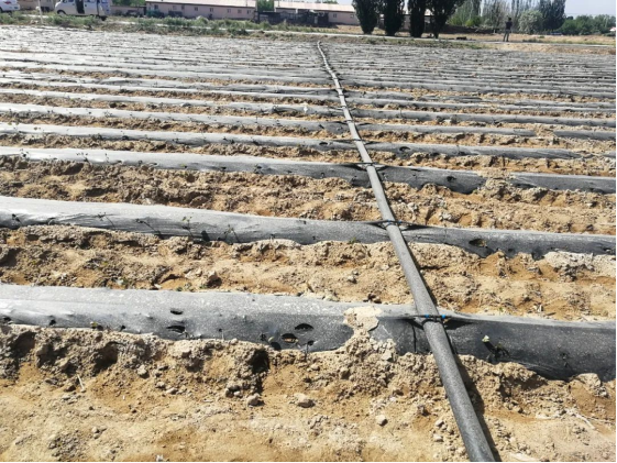 JDB����(�й���)���ٷ���վ