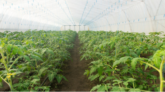 JDB����(�й���)���ٷ���վ