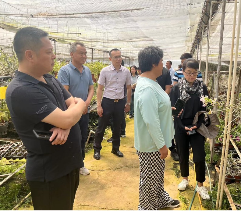 JDB����(�й���)���ٷ���վ