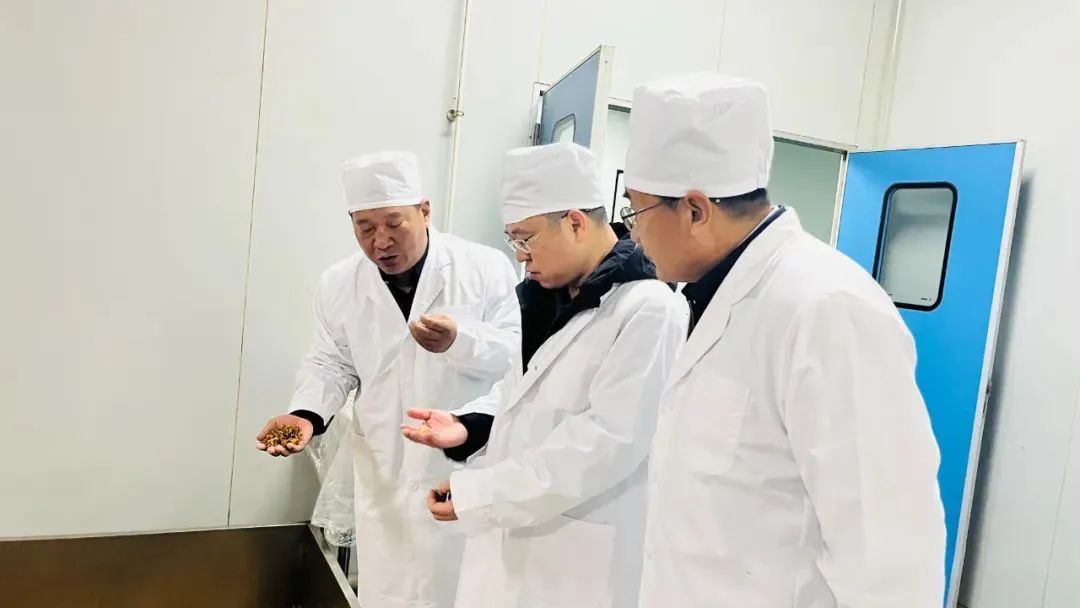 JDB����(�й���)���ٷ���վ