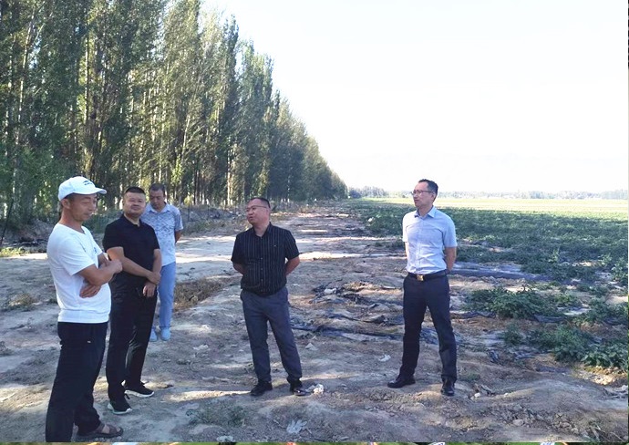 JDB����(�й���)���ٷ���վ