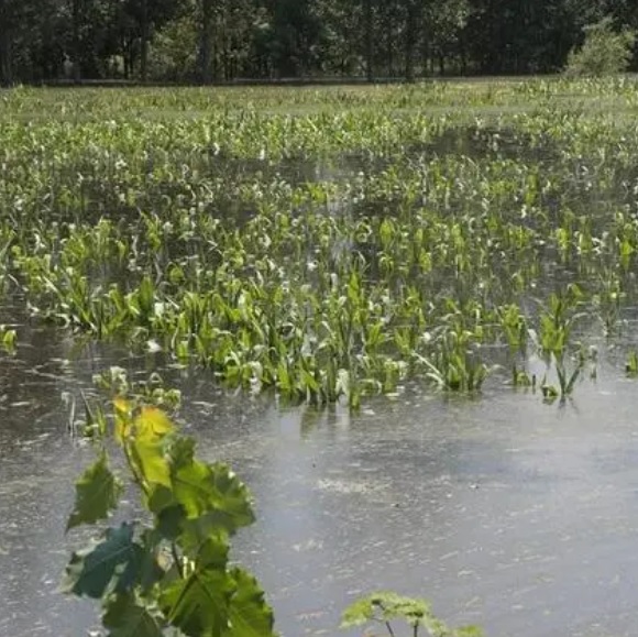 JDB����(�й���)���ٷ���վ