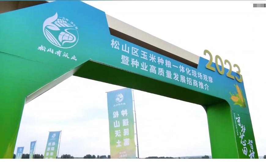 JDB����(�й���)���ٷ���վ