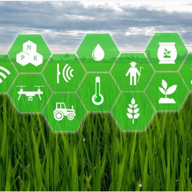 JDB����(�й���)���ٷ���վ