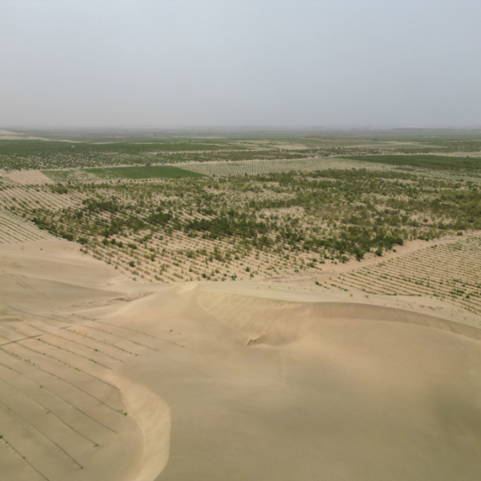 JDB����(�й���)���ٷ���վ