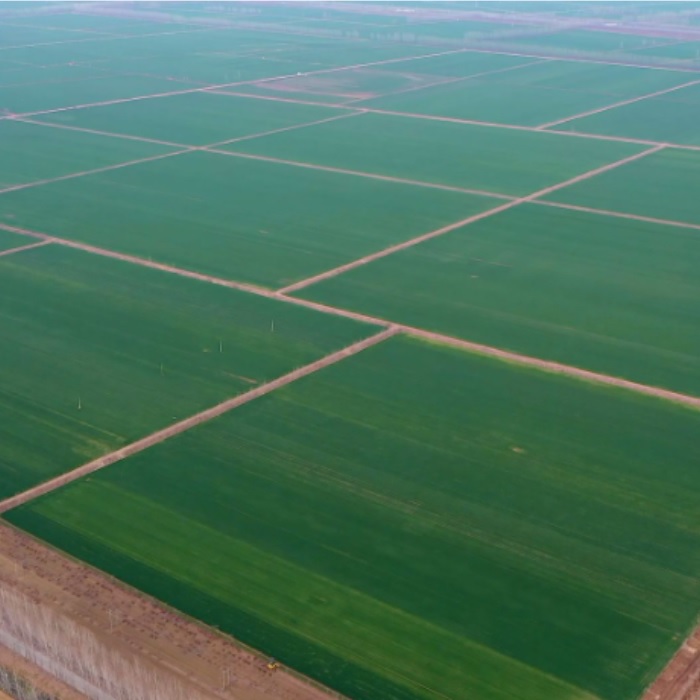 JDBµç×Ó(ÖйúÇø)¡¤¹Ù·½ÍøÕ¾