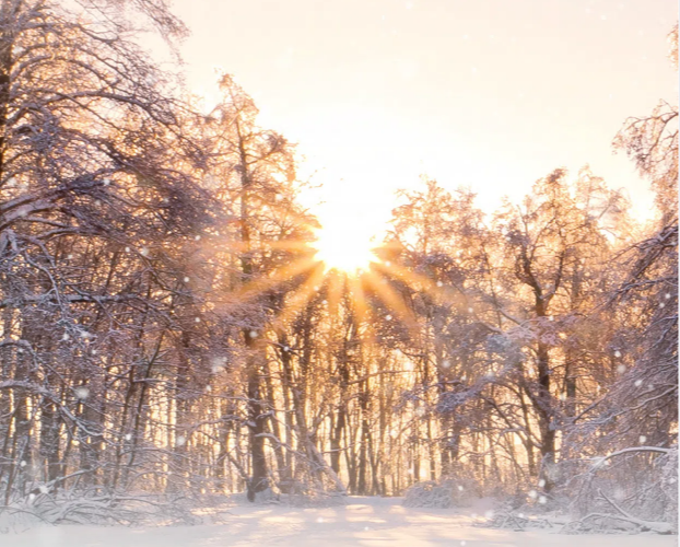 JDB����(�й���)���ٷ���վ