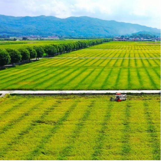 JDB����(�й���)���ٷ���վ