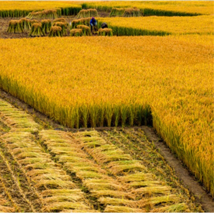 JDB����(�й���)���ٷ���վ