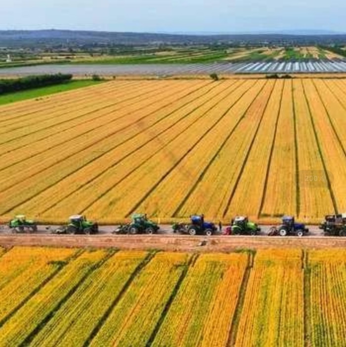 JDB����(�й���)���ٷ���վ