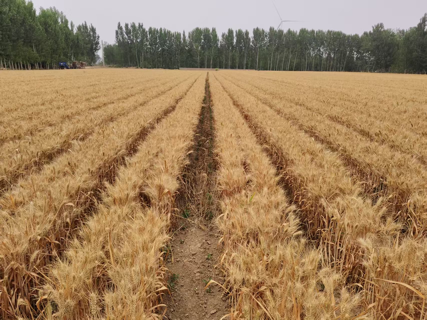 JDB����(�й���)���ٷ���վ