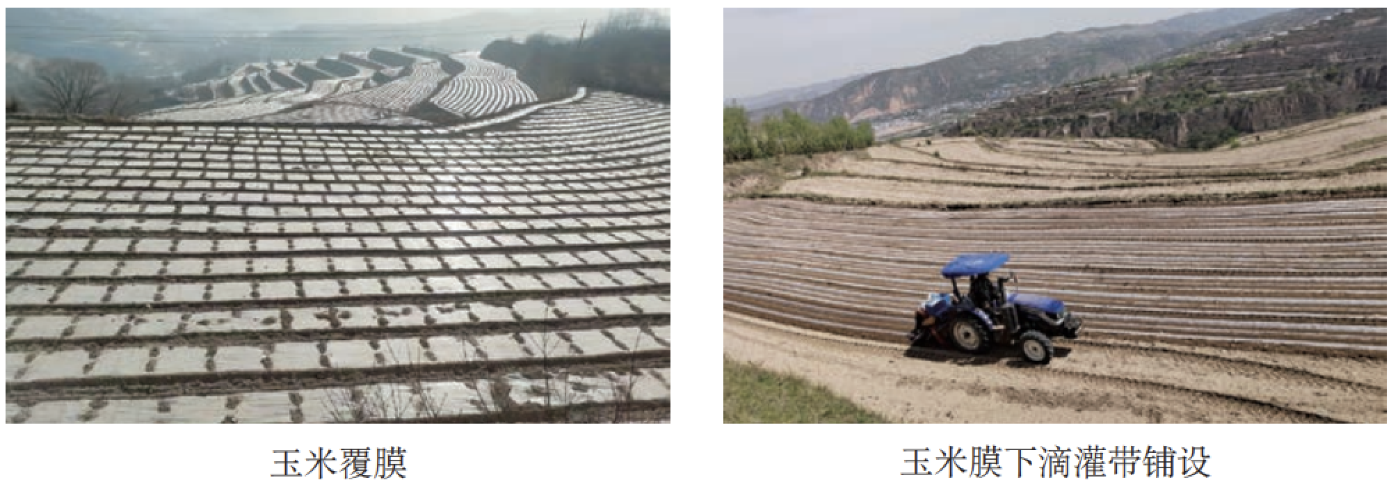 JDB����(�й���)���ٷ���վ