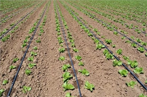 JDBµç×Ó(ÖйúÇø)¡¤¹Ù·½ÍøÕ¾